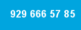 929 666 57 85